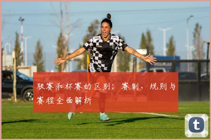 联赛和杯赛的区别：赛制、规则与赛程全面解析